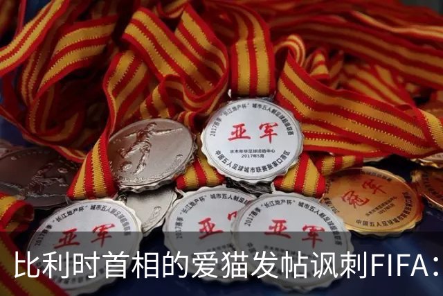 比利时首相的爱猫发帖讽刺FIFA：“红牌？”我照样继续踢！