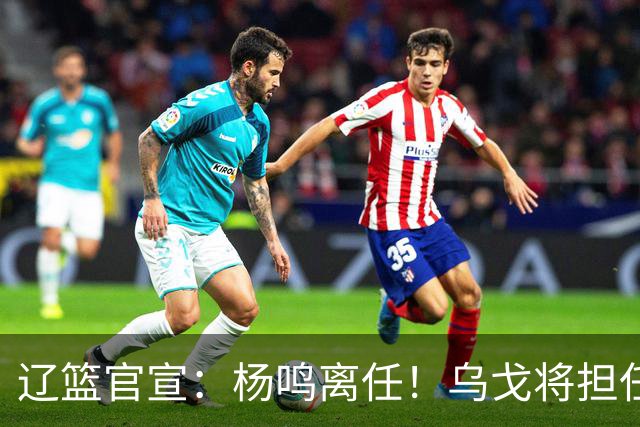 辽篮官宣：杨鸣离任！乌戈将担任辽宁男篮主帅